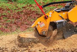 How Our Tree Care Process Works  in  Harrisburg, IL