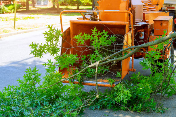 Best Firewood Processing and Delivery  in Harrisburg, IL